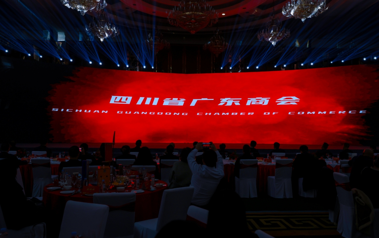 微信截图_20241224111645